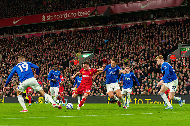 团队提供了 团队提供了