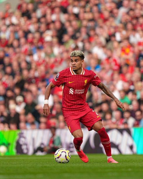 将会大打折 将会大打折